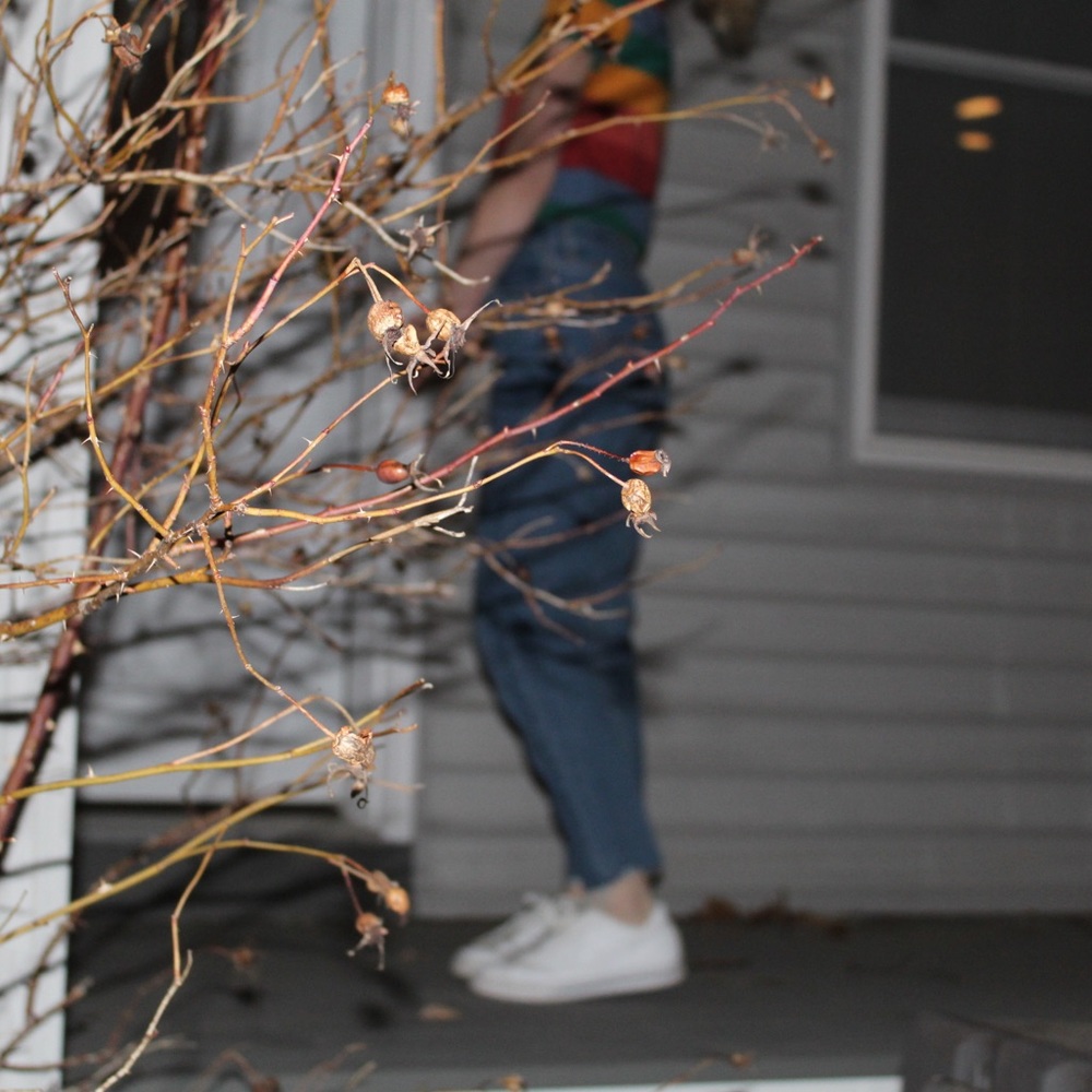 Meet your Posher, Maddie